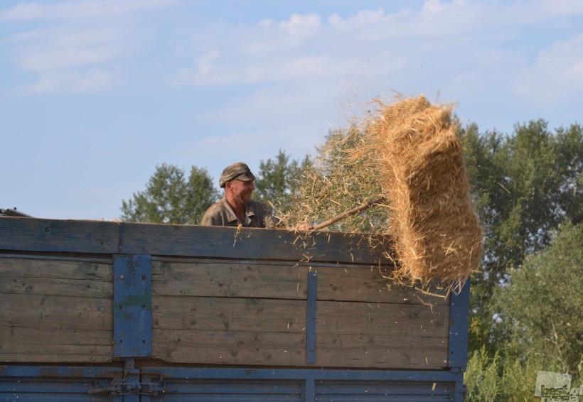 Жизнь деревенская