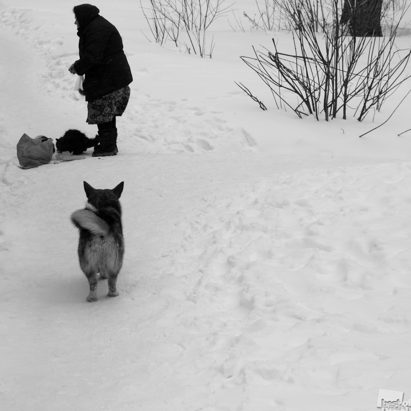 Зима в Балашове