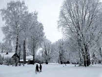 Зимняя улица.