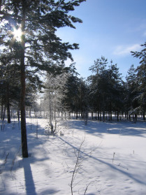 Зима в Дзержинске