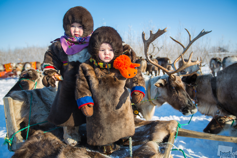 Родня
