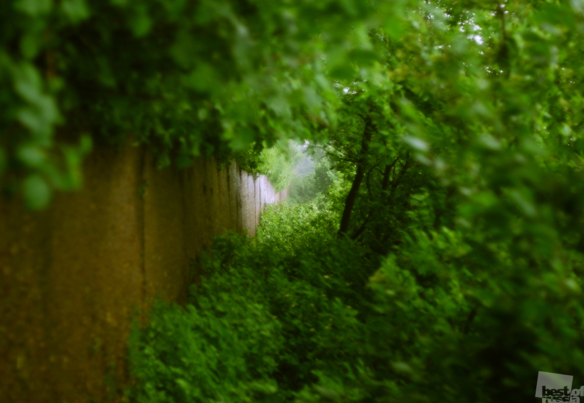 Narnia