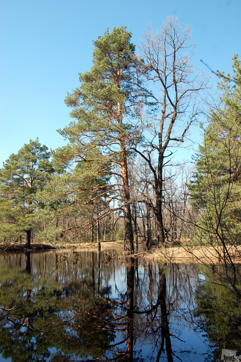 река Поля