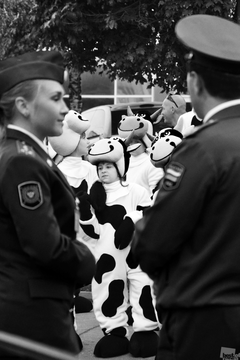 Ветеринарный патруль