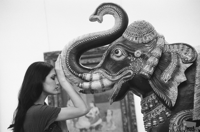 Портрет девушки и слона