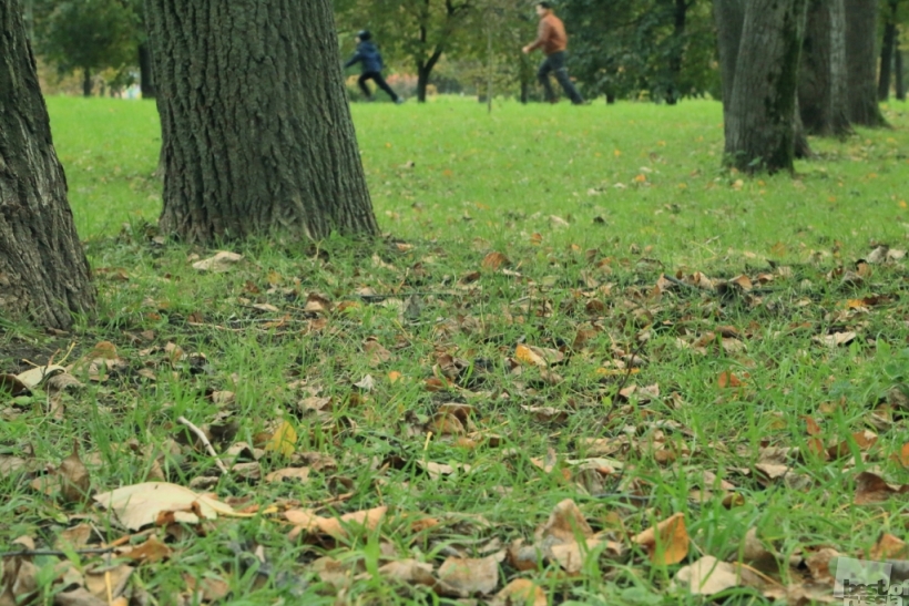 Золотая осень
