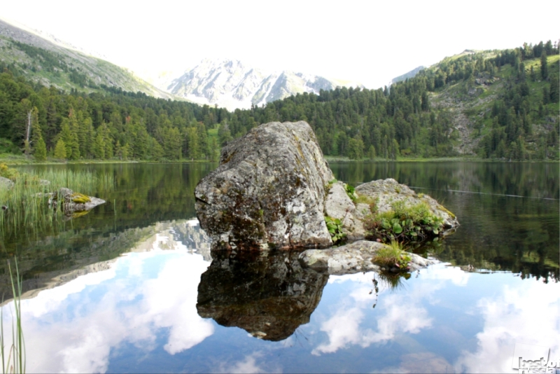 Наедине с гармонией