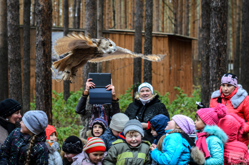 Полёт