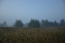 Синий туман