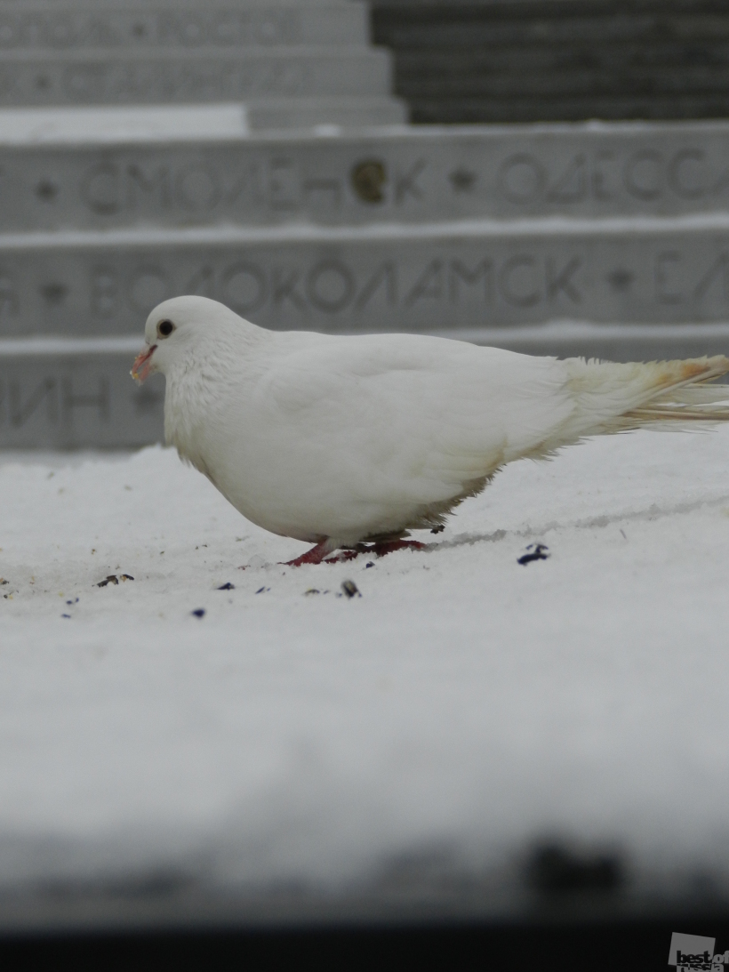 Скорбящая душа