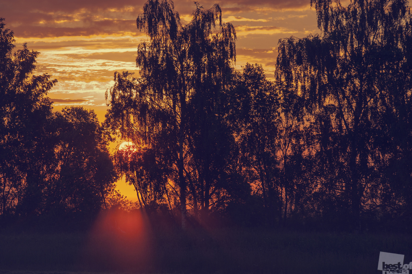 First Rays