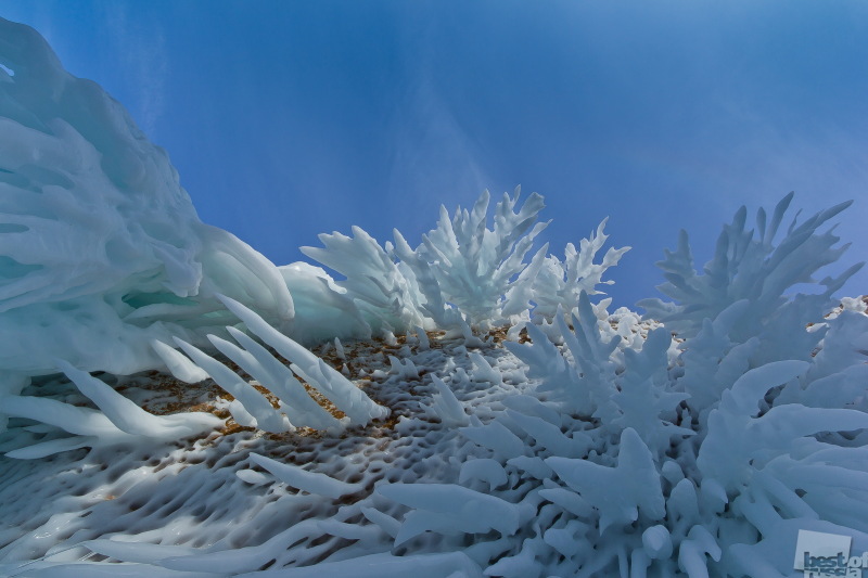 Ice koralls