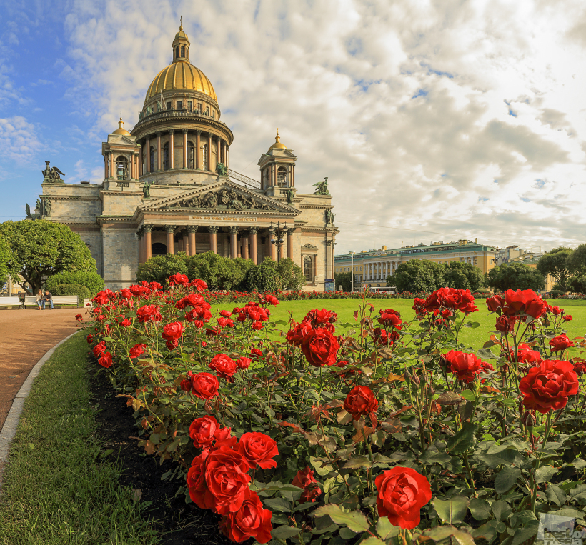Неувядаемая красота.