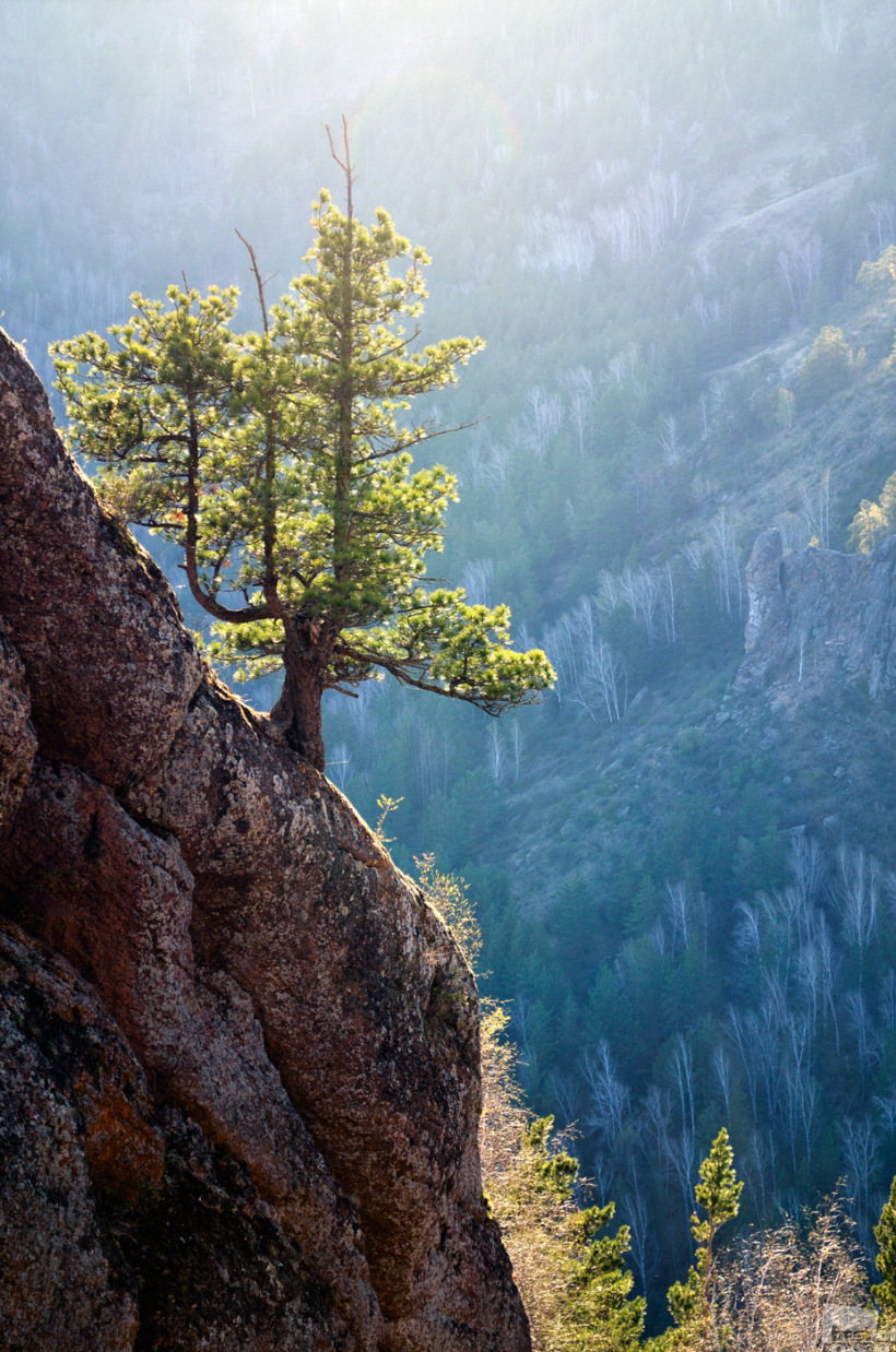 Самурай