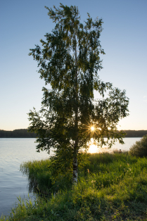 Dawn on Senezh lake