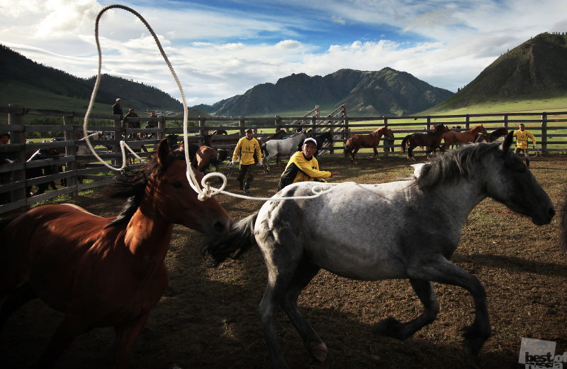 Rodeo in the Altai