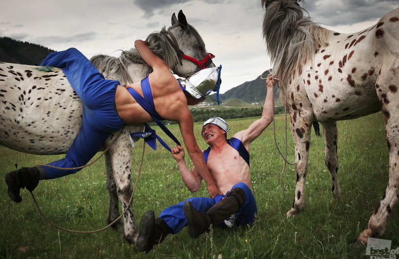 Wrestlers Telengit Kuresh