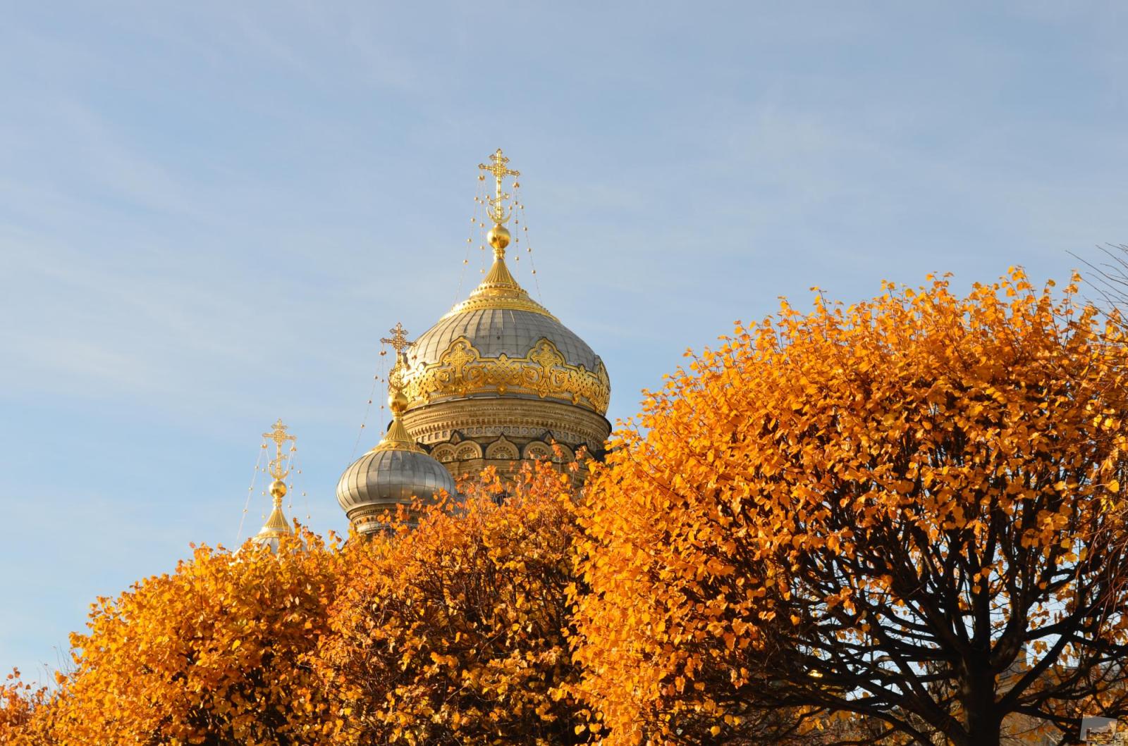 КУПОЛА РОССИИ