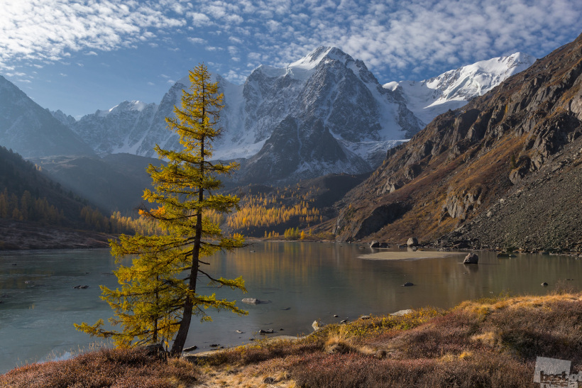 Мечта, Сказка и Красавица.