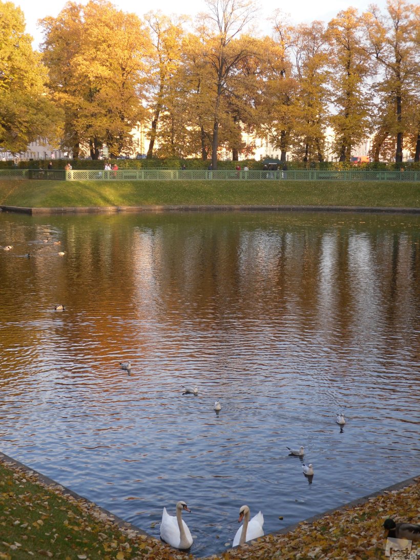 Осенняя гармония