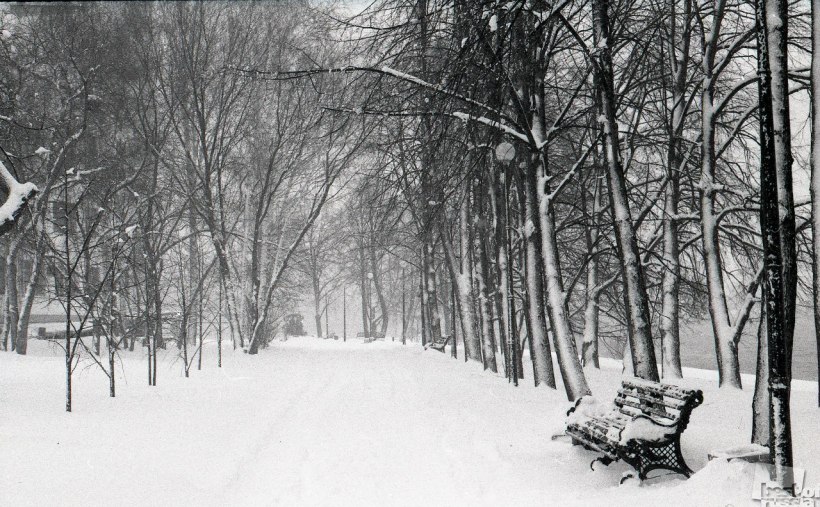 The Winter Tale.