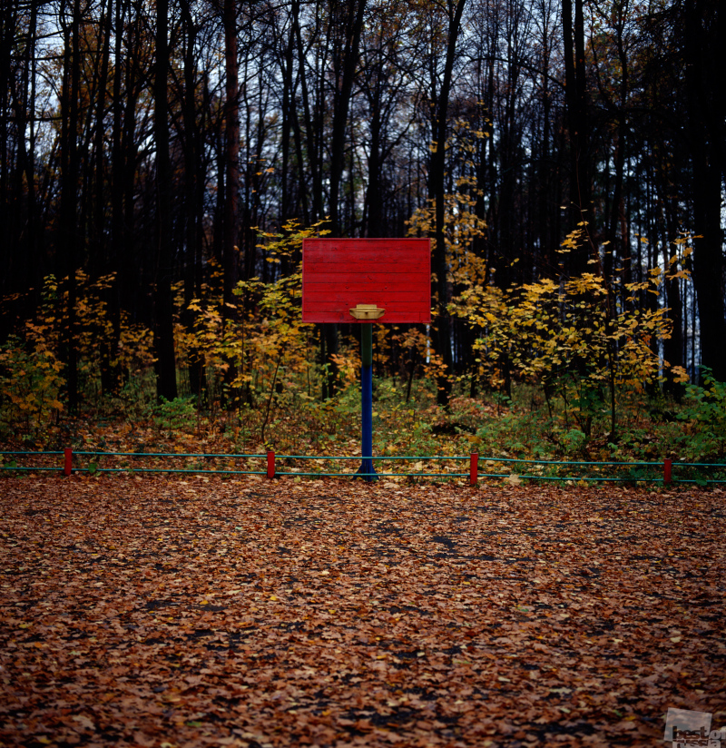 Баскетбольная площадка в осеннем парке