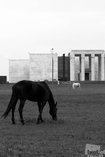 как почистить заброшенный пруд #9