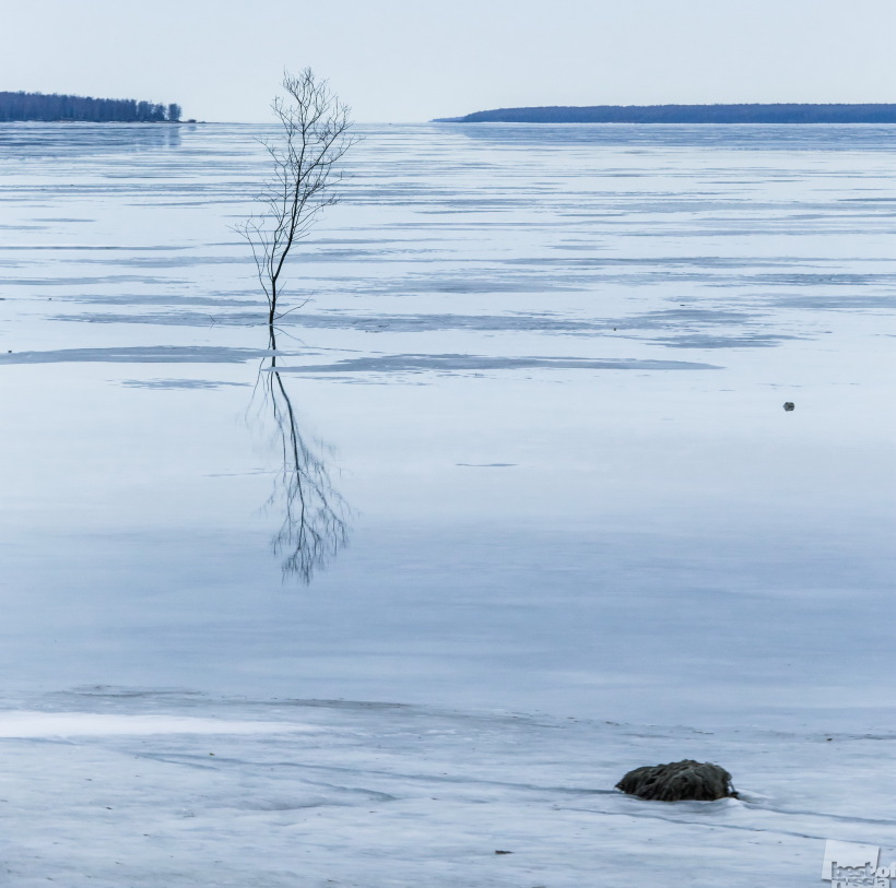 Весна на Рыбинском водохранилище