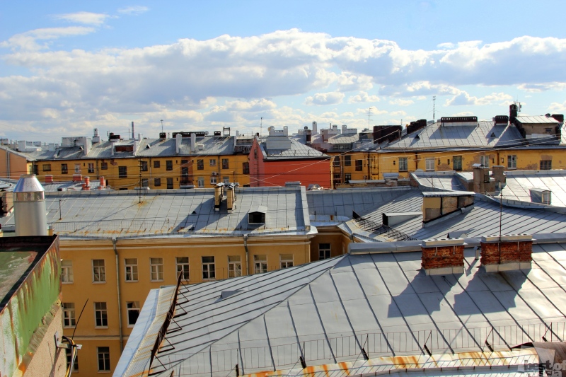 крыши Петербурга