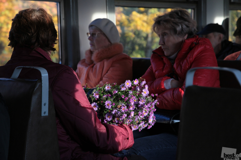 Остатки лета.