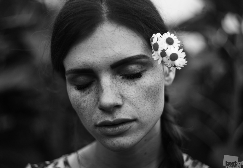Daisies