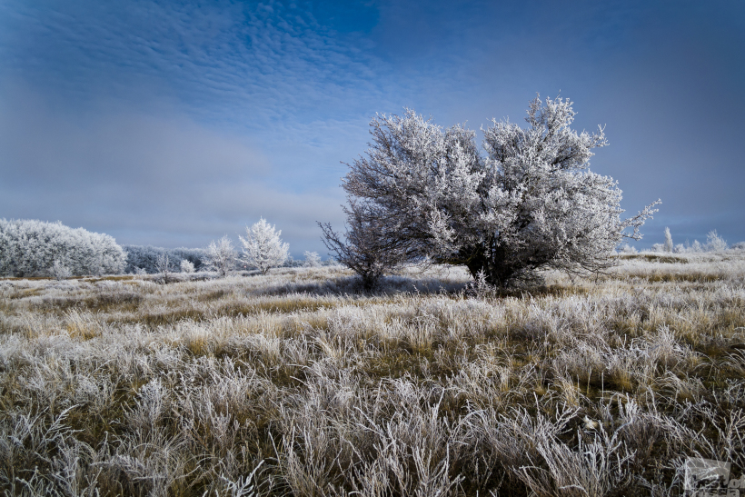 Tale of a winter morning