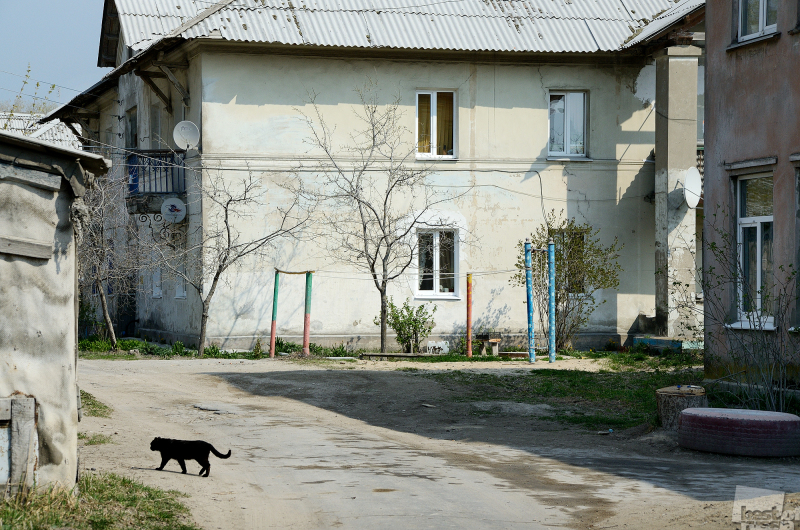 Старые дома и черный кот.