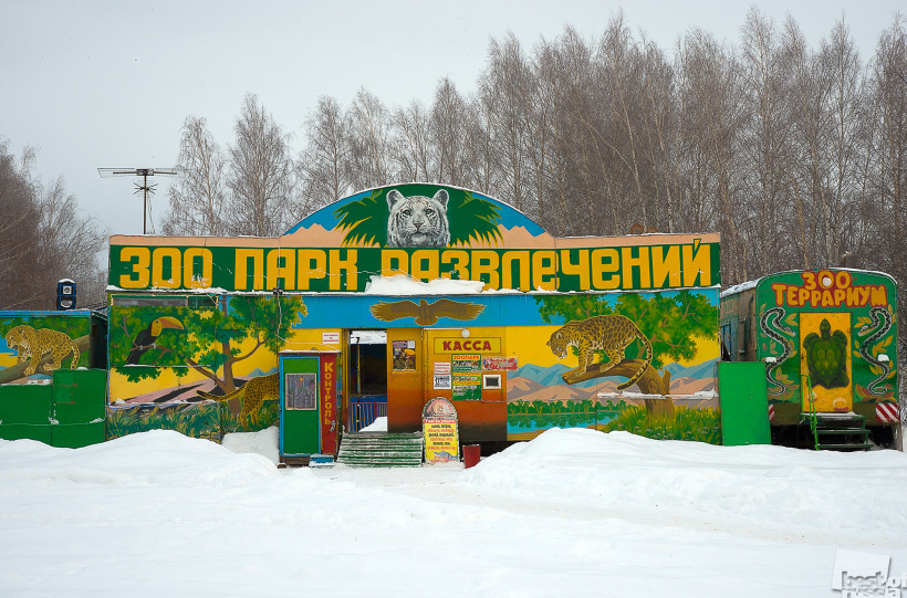 Зоопарк приехал