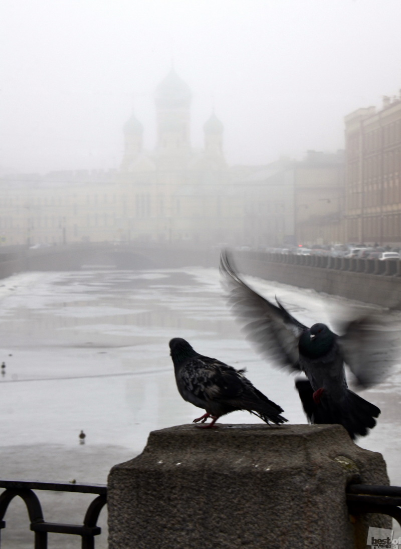 Туманный Петербург