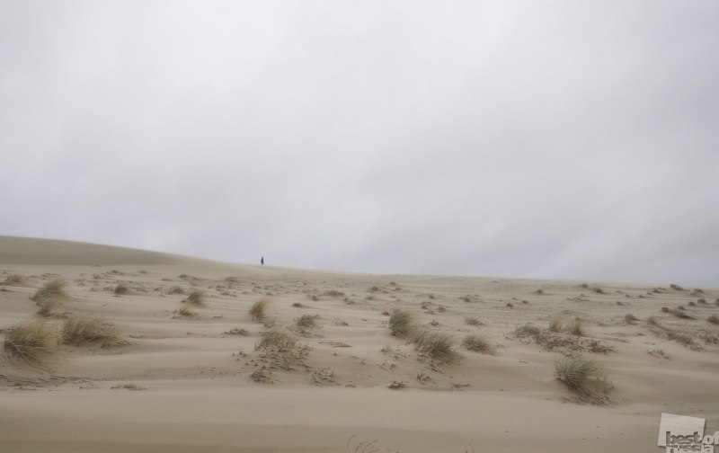 Песок и ветер