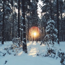 Канун Нового года