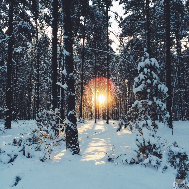 Канун Нового года