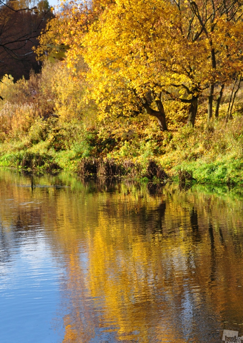 Осень на реке Анграпа.