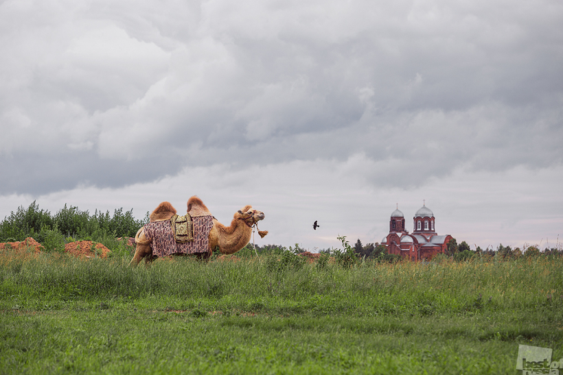 Корабль Подмосковья