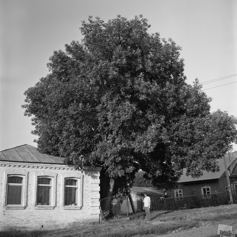 Александр