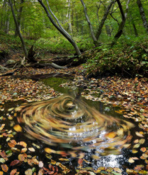 Осенний водоворот