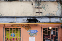 Чёрная кошка туриндустрии