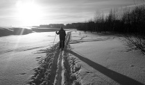 A trail to Arkhangelsk