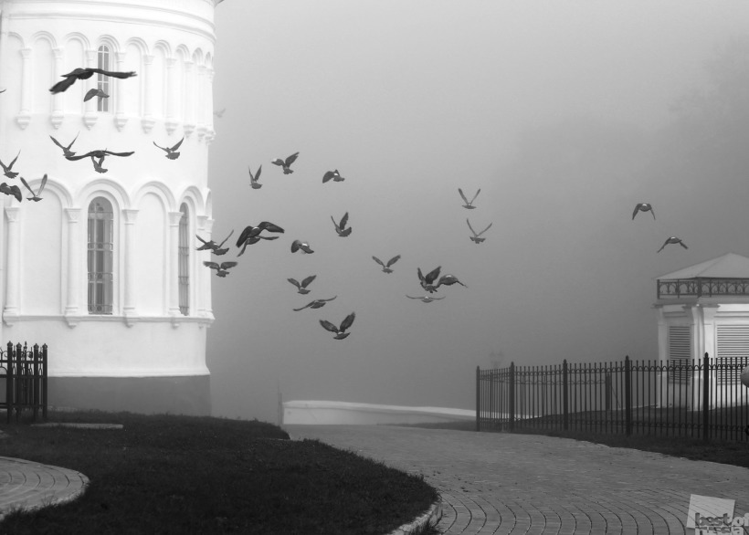 Утро туманное