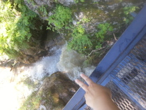 медовые водопады