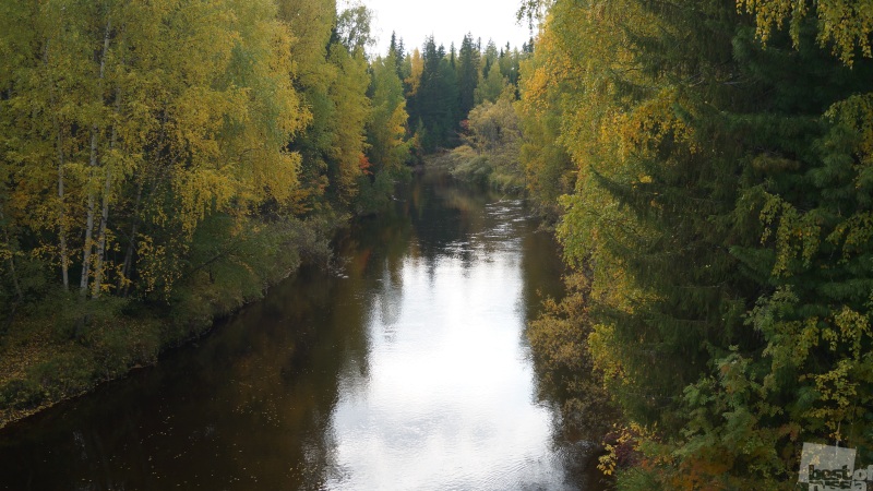 Река в Осеннем бору