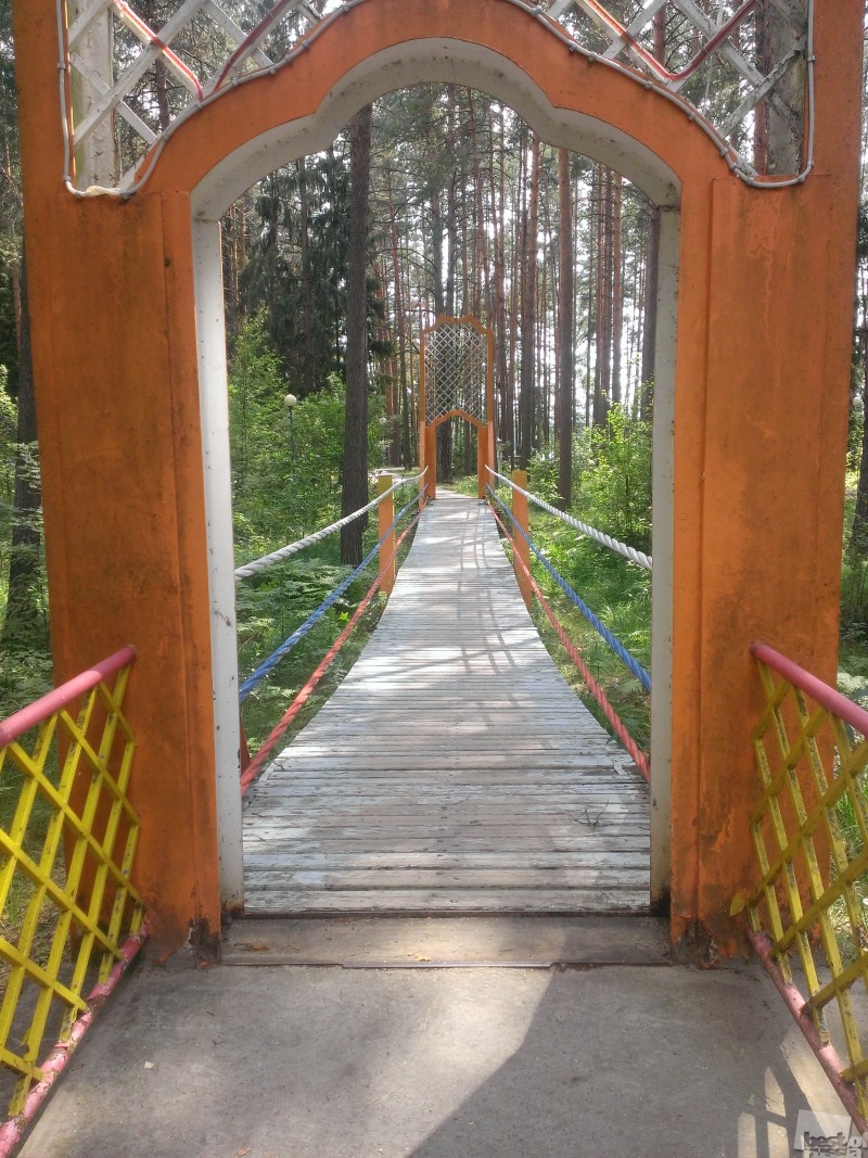 Подвесной мост через лес к озеру
