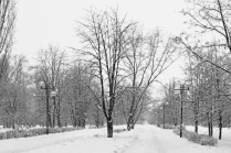 Зима в городском парке