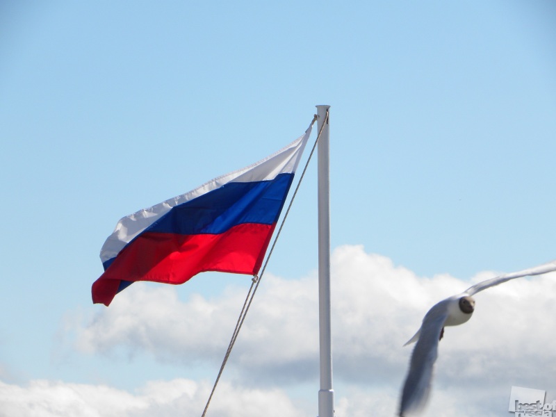 Флаг России и Чайка
